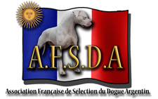 Logoafsda